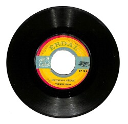 Türkan Kaya - Erzincan'a Girdim / Ne Elmadır Ne De Nar PLAK (10/7.5) PLK24701 - Gökçekoleksiyon