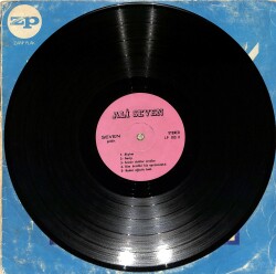 Ali Seven – Garip | Zarif Plak 33'lük LP (Long Play) PLAK (10/8) ''Orijinal Dönem Baskı '' *Türk Halk Müziği • Arabesk • Fantezi* PLK28172 - 2