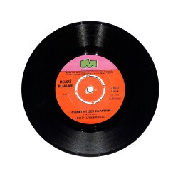 Eyüp Uyanıkoğlu - Kaderim / Kısmetimi Sen Kapattın PLAK (10/7) PLK25707 - Gökçekoleksiyon