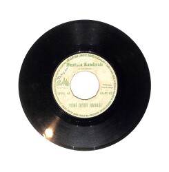 Mustafa Kandıralı - Yeni Salon Çiftetellisi / Yeni Oyun Havası PLAK (10/6) PLK25682 - Gökçekoleksiyon