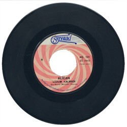 Alican - Yalvartan Aşk (109) PLK11081 - 2