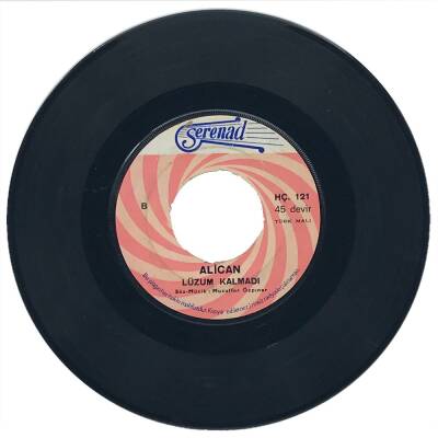 Alican - Yalvartan Aşk (109) PLK11081 - 2