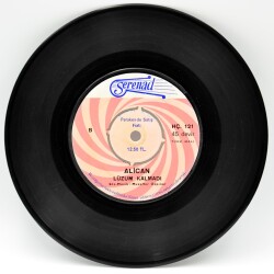 Alican - Yalvartan Aşk Lüzum Kalmadı PLAK (10/8) PLK2435 - 2