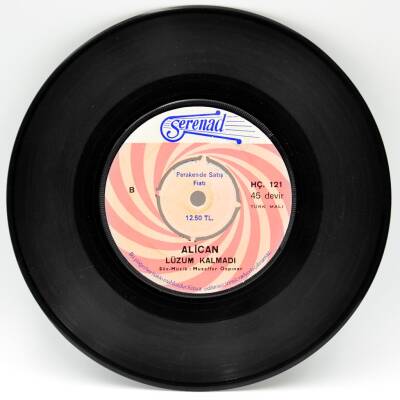 Alican - Yalvartan Aşk Lüzum Kalmadı PLAK (10/8) PLK2435 - 2