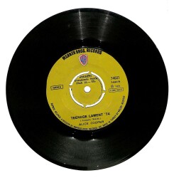 Alice Cooper - Teenage Lament `74 Working Up A Sweat Plak (106.5) PLK20953 - 1