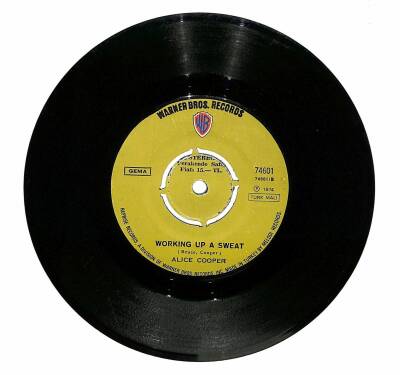 Alice Cooper - Teenage Lament `74 Working Up A Sweat Plak (106.5) PLK20953 - 2