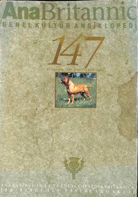 Ana Britannica Genel Kültür Ansiklopedi 147 NDR79611 - 1