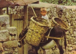 Anadolu Yaşantısı Çocuk Kartpostal KRT10542 - Gökçekoleksiyon