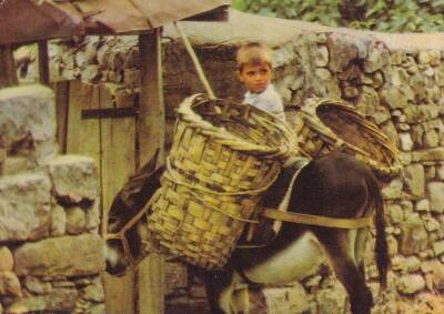 Anadolu Yaşantısı Çocuk Kartpostal KRT10542 - 1