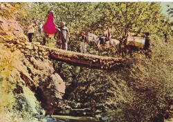 Anadolu Yaşantısı Gelin Kartpostal KRT10544 - Gökçekoleksiyon