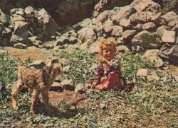 Anadolu Yaşantısı Kartpostal KRT10888 - Gökçekoleksiyon