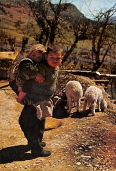 Anadolu Yaşantısı Kartpostal KRT18538 - Gökçekoleksiyon