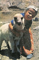 Anadolu Yaşantısı Kartpostal KRT19061 - Gökçekoleksiyon