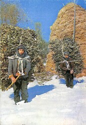 Anadolu Yaşantısı Kartpostal KRT19062 - Gökçekoleksiyon