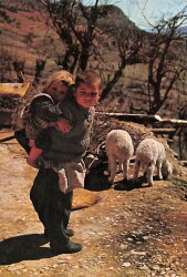 Anadolu Yaşantısı Kartpostal KRT19063 - Gökçekoleksiyon