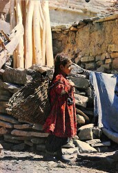 Anadolu Yaşantısı Kartpostal KRT19069 - Gökçekoleksiyon