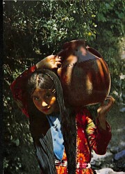 Anadolu Yaşantısı Kartpostal KRT19291 - Gökçekoleksiyon