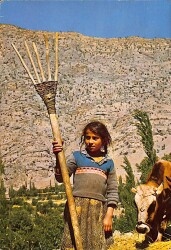 Anadolu Yaşantısı Kartpostal KRT2876 - Gökçekoleksiyon