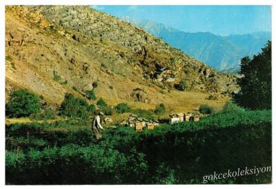 Anadolu Yaşantısı Kartpostal KRT2887 - 1