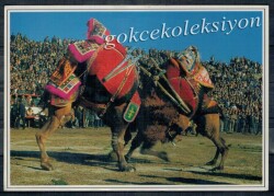 Anadolu Yaşantısı Kartpostal KRT2903 - Gökçekoleksiyon