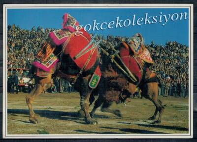 Anadolu Yaşantısı Kartpostal KRT2903 - 1