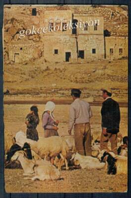Anadolu Yaşantısı Kartpostal KRT2932 - 1