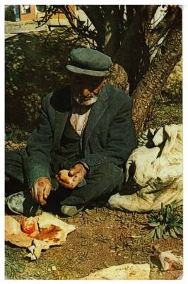 Anadolu Yaşantısı Kartpostal KRT7605 - 1