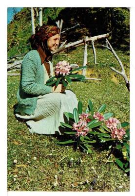 Anadolu Yaşantısı Kartpostal KRT7792 - 1
