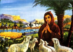 Anadolu Yaşantısı Kartpostal (Küçük Boy) KRT22782 - Gökçekoleksiyon