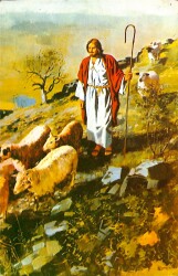 Anadolu Yaşantısı Kartpostal (Küçük Boy) KRT22792 - Gökçekoleksiyon