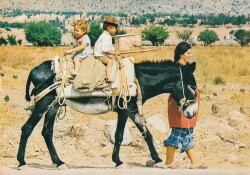 Anadolu Yaşantısı Köyde Yaşam Kartpostal KRT10532 - Gökçekoleksiyon