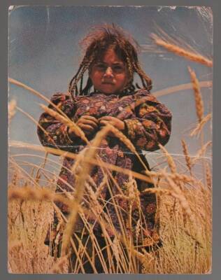 Anadolu Yaşantısı Temalı Orta Boy Kartpostal KRT5110 - 1