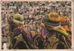 Anadolu Yaşantısı Türkmen Kızları Kartpostal KRT10556 - Gökçekoleksiyon