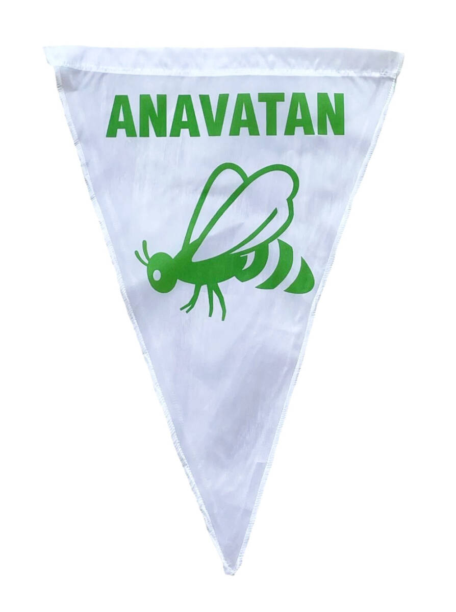 Anavatan Partisi Yeşil Amblemli Üçgen Bayrak/Flama Flama4 - 1