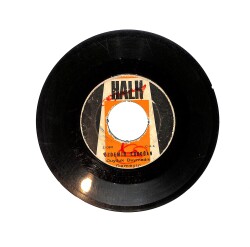 Özdemir Erdoğan - Duyduk Duymadık Demeyin / Uzaklaşma Benden Öyle PLAK (10/6.5) PLK25668 - Gökçekoleksiyon