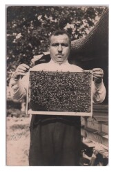 Arıcılık Eski Fotokart KRT6286 - 1