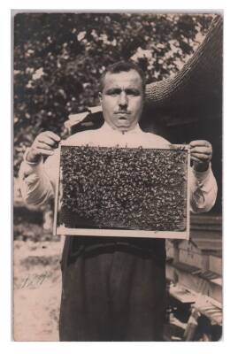 Arıcılık Eski Fotokart KRT6286 - 1