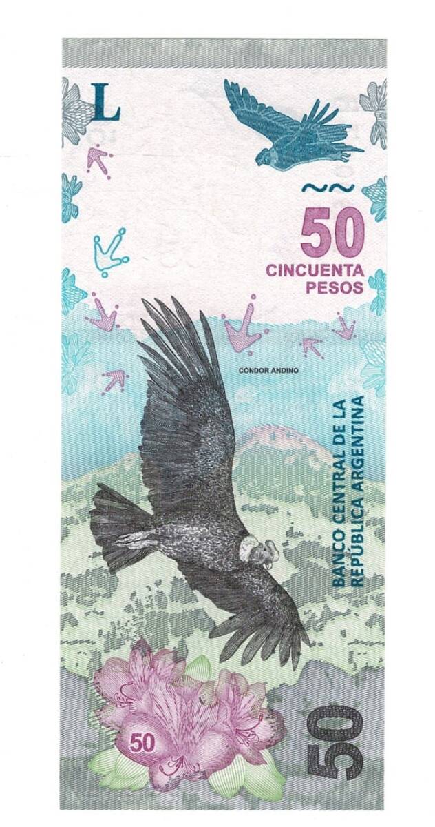 Arjantin 50 Pesos 2020 - ÇİL YKP8952 - 1