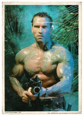Arnold Schwarzenegger (Büyük Boy) Kartpostal KRT9381 - 1