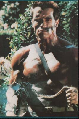 Arnold Schwarzenegger Kartpostal KRT3505 - 1