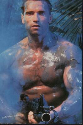 Arnold Schwarzenegger Kartpostal KRT3506 - 1