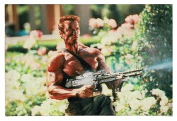 Arnold Schwarzenegger Kartpostal KRT9854 - Gökçekoleksiyon