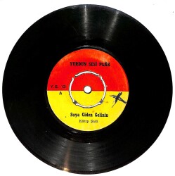 Katip Şadi - Suya Giden Gelinin / Kapakçı Oğlu Havası Plak (10/6) PLK25393 - Gökçekoleksiyon