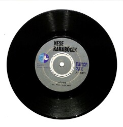 Neşe Karaböcek - Niyet / Hatıralar PLAK (10/7.5) PLK24704 - Gökçekoleksiyon