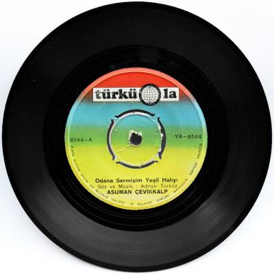 Asuman Çevikkalp - Odana Sermişim Yeşil Halıyı (109) PLK6150 - 1