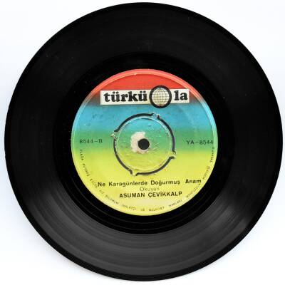 Asuman Çevikkalp - Odana Sermişim Yeşil Halıyı (109) PLK6150 - 2