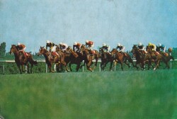 At Yarışı Hipodrom Kartpostal KRT10371 - Gökçekoleksiyon