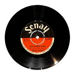 Melâhat Koyuncu - Özür Diliyorum Senden / Kovma Beni Dergâhından Plak (10/7) PLK24312 - Gökçekoleksiyon