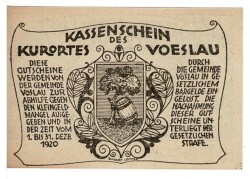 Avusturya 20 Heller 1920 ÇİL *Vöslau* YKP5780 - 2