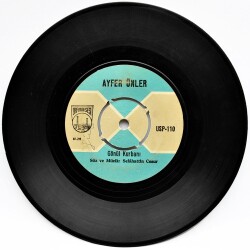 Ayfer Ünler - Gönül Kurbanı (107.5) PLK8425 - 1